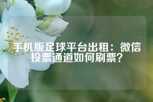 手机版足球平台出租：微信投票通道如何刷票？