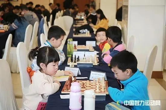 2017杭州象棋比赛圆满结束（冠军谁是谁非？赛场上的精彩瞬间）