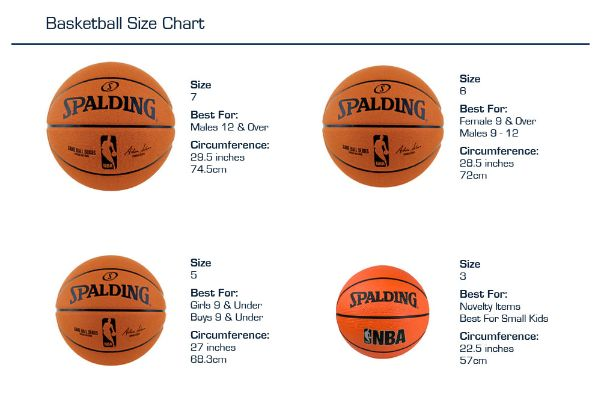 篮球规格型号介绍及如何选择适合自己的篮球-第2张图片-www.211178.com_果博福布斯